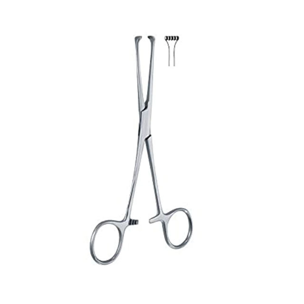 Allise Tissue Forcep
