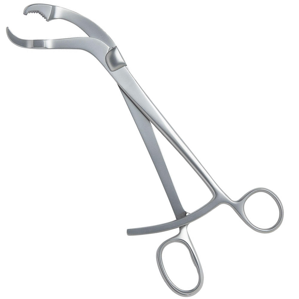 Verbrugge Bone Holding Forceps