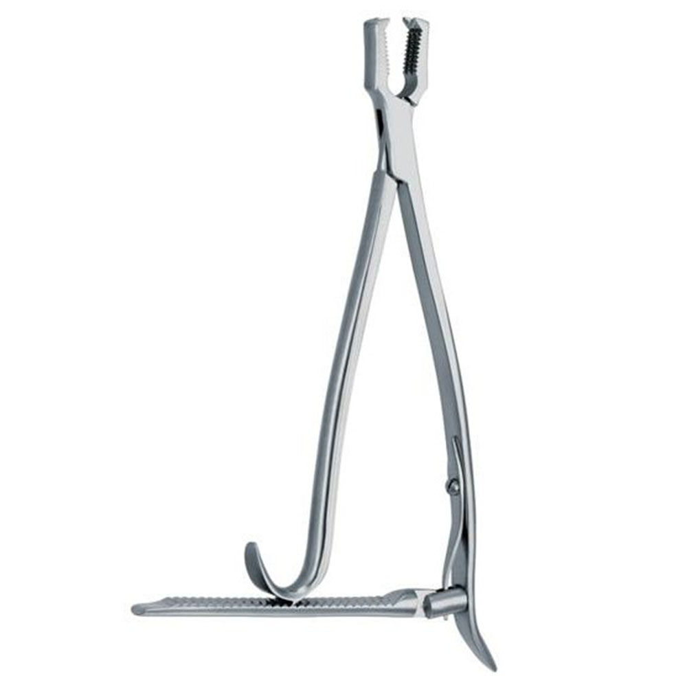 kern bone holding forceps